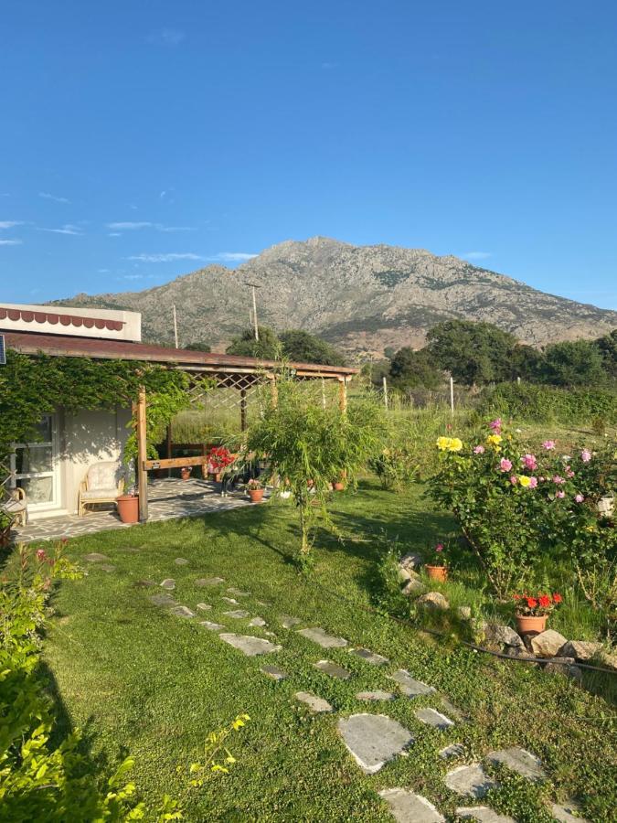 Samothraki - Sea, Mountain, Quiet Villa Eksteriør billede